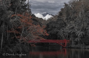 Pukekura Park Iconic View
Photograph on Linen
$850.00