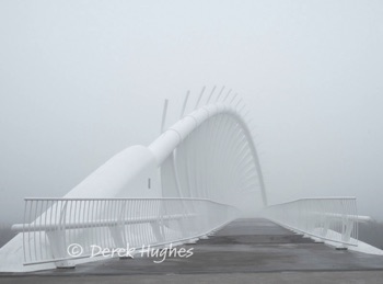 Te-Rewa-Rewa-Bridge-049