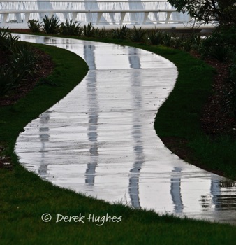 Te-Rewa-Rewa-Bridge-051