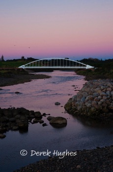 Te-Rewa-Rewa-Bridge-6137