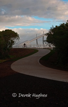 Te-Rewa-Rewa-Bridge-6595