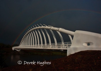 Te-Rewa-Rewa-Bridge-6601