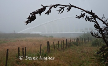 Te-Rewa-Rewa-Bridge-9675